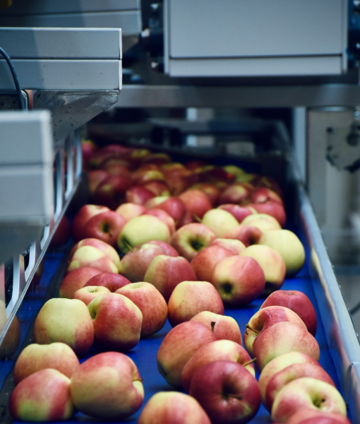 About - Kaudy Incorporation